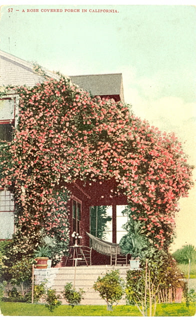 A Rose Covered Porch in California - Carey's Emporium