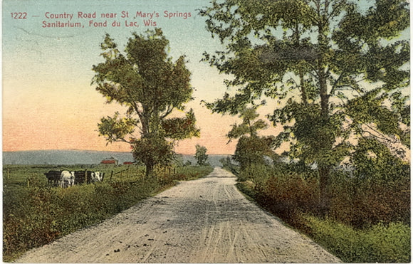 Country Road near St. Mary's Springs, Sanitarium, Fond du Lac, WI - Carey's Emporium