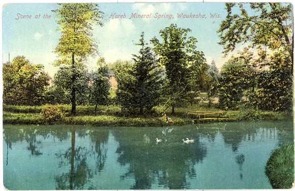 Scene at the Horeb Mineral Spring, Waukesha, WI - Carey's Emporium