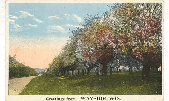 Greetings From Wayside, WI - Carey's Emporium