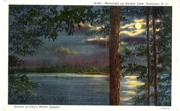 Moonlight on Rankin Lake, Gastonia, NC - Carey's Emporium