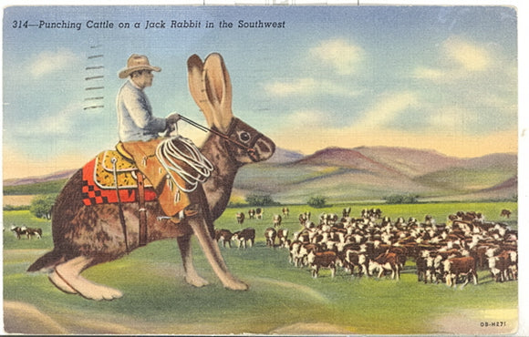 Punching Cattle on a Jack Rabbit in the Southwest, Exaggeration - Carey's Emporium