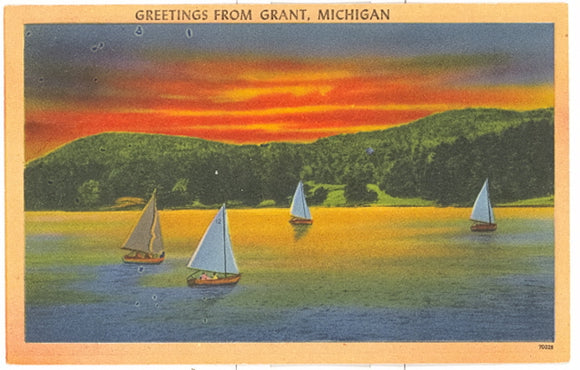 Greetings from Grant, MI - Carey's Emporium