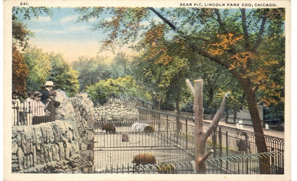 Bear Pit, Lincoln Park Zoo, Chicago, IL - Carey's Emporium
