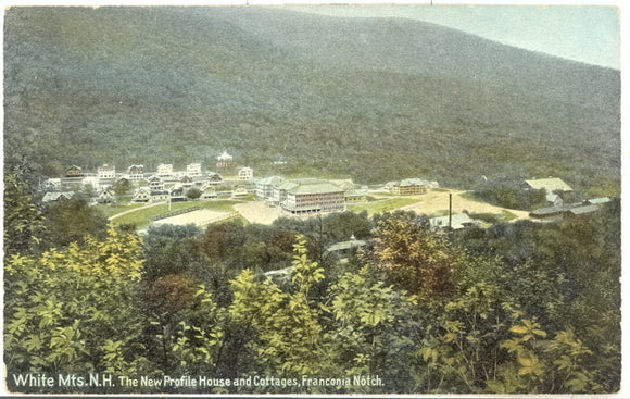The New Profile House and Cottages, Franconia Notch, White Mts., NH - Carey's Emporium