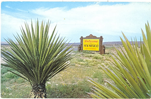New Mexico - Carey's Emporium