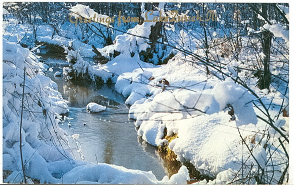 Greetings from Lake Zurich, IL - Carey's Emporium