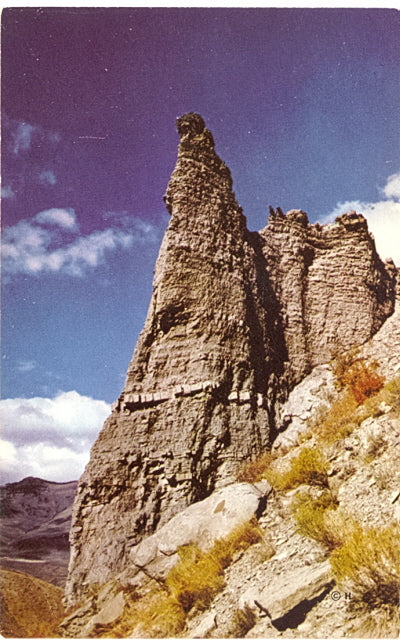 Eagle Nest Rock in Gardner Canyon, Annual Home of the Osprey, Yellowstone National Park - Carey's Emporium