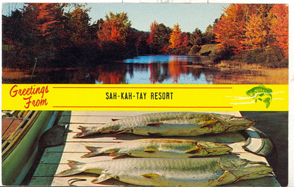 Greetings From Sah-Kay-Tay Resort, Cass Lake, MN - Carey's Emporium