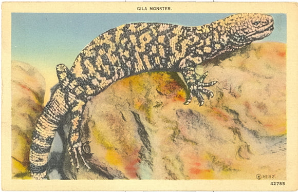 Gila Monster - Carey's Emporium