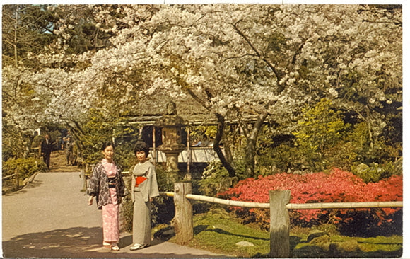 Golden Gate Park Japanese Tea Garden, San Francisco, CA - Carey's Emporium