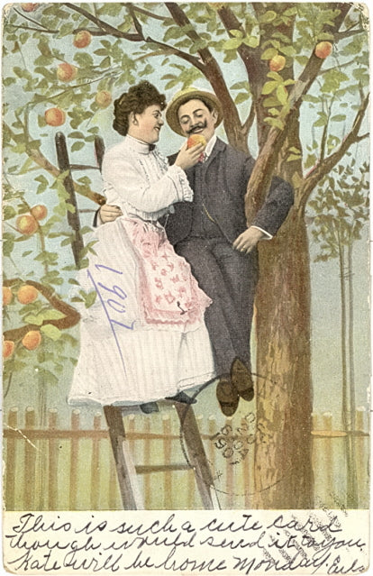 Sitting in An Apple Tree - Carey's Emporium