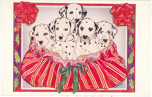 The North Shore Animal League saves abandoned dogs and cats, and finds them new homes, Port Washington, NY - Carey's Emporium