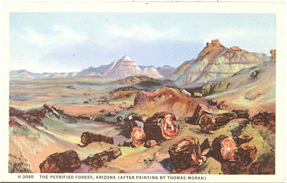 The Petrified Forest, Adamana, AZ - Carey's Emporium