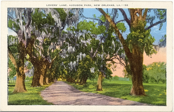 Lovers Lane, Audubon Park, New Orleans, LA - Carey's Emporium