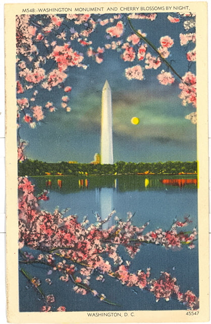 Washington Monument and Cherry Blossoms by Night, Washington, DC - Carey's Emporium