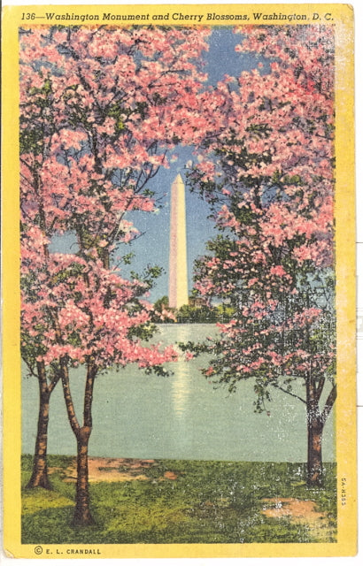 Washington Monument and Cherry Blossoms, Washington, DC - Carey's Emporium