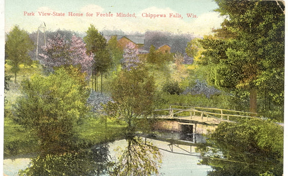 Park View State Home for Feeble Minded, Chippewa Falls, WI - Carey's Emporium