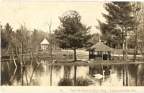 View of Swans in Irvine Park, Chippewa Falls, WI - Carey's Emporium