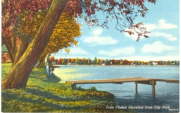 Lake Chetek Shoreline from City Park, Chetek, WI - Carey's Emporium