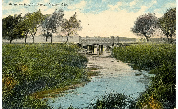 Bridge on U. of W. Drive, Madison, WI - Carey's Emporium