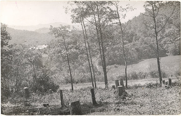 Panorama View, Penland, NC - Carey's Emporium