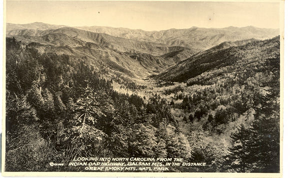 Looking Into North Carolina From The Indian Gap Highway, Balsam Mts. in The Distance, Great Smoky Mtns. Nat'l. Park - Carey's Emporium