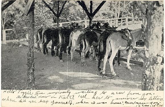 The Other End, East Stroudsburg, PA - Carey's Emporium