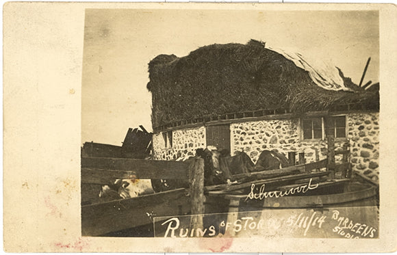 Silverwood Ruins of Storm 5/11/14 - Carey's Emporium