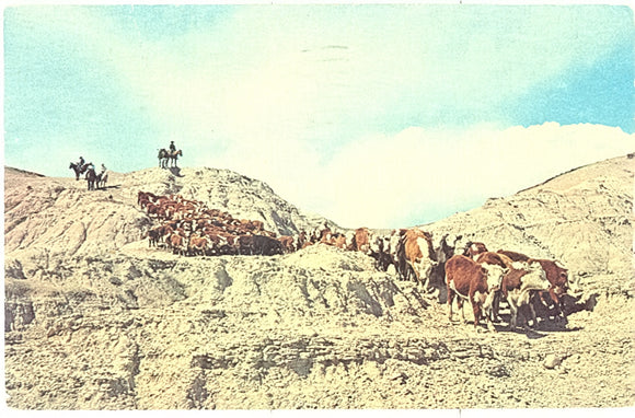 Cattle Drive - Carey's Emporium