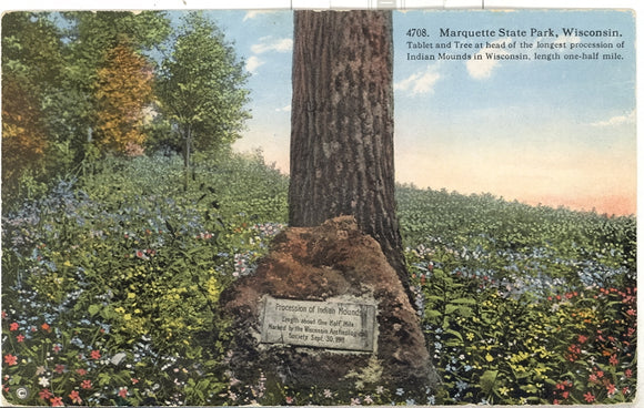 Indian Mounds Tablet and Tree, Marquette State Park, WI - Carey's Emporium