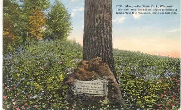 Indian Mounds Tablet and Tree, Marquette State Park, WI - Carey's Emporium