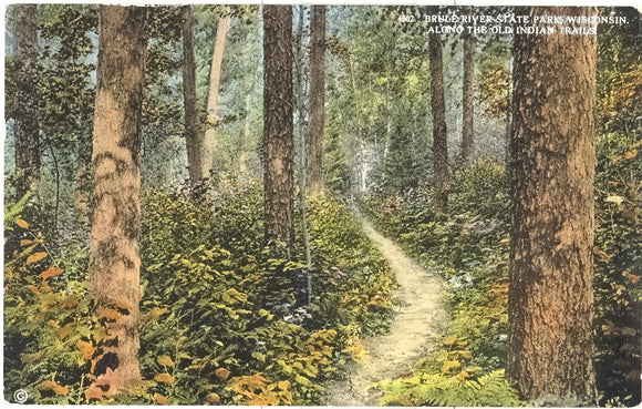 Along the Old Indian Trails, Brule River State Park, WI - Carey's Emporium