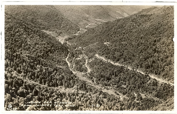 Indian Gap Highway from Chimney Tops, TN - Carey's Emporium