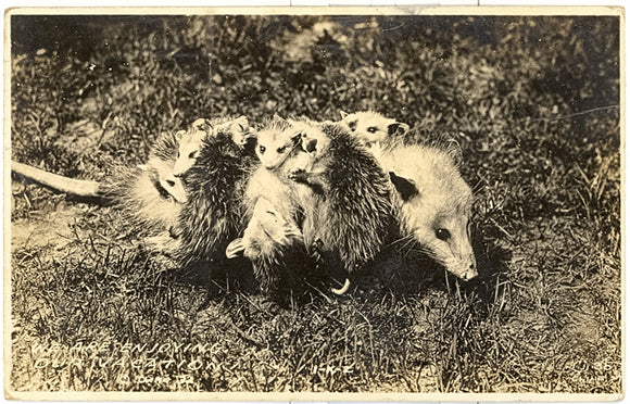 We are Enjoying Our Vacation - Carey's Emporium