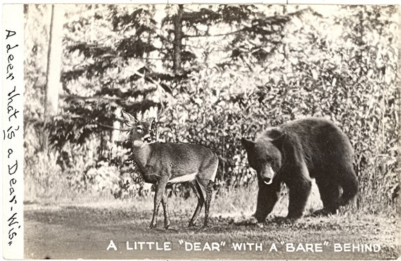 A Little Dear with a Bare Behind - Carey's Emporium