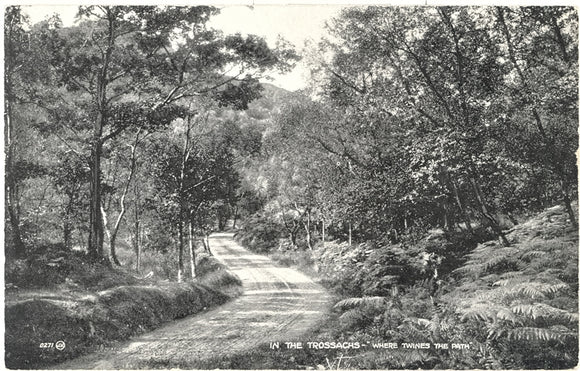 In the Trossachs, Where Twines the Path, Trossachs, Scotland - Carey's Emporium