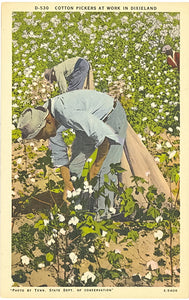 Cotton Pickers at Work in Dixieland - Carey's Emporium