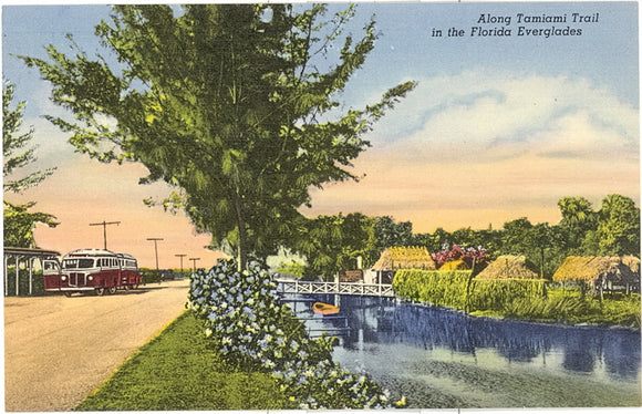 Along Tamiami Trail in the Florida Everglades - Carey's Emporium
