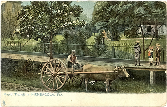 Rapid Transit in Pensacola, FL - Carey's Emporium