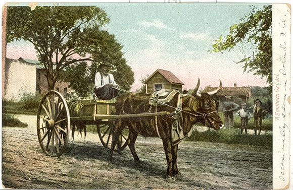 A Southern Ox Cart, Orlando, FL - Carey's Emporium