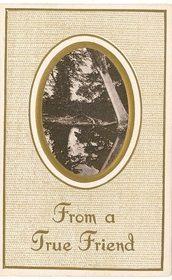 From a True Friend - Carey's Emporium