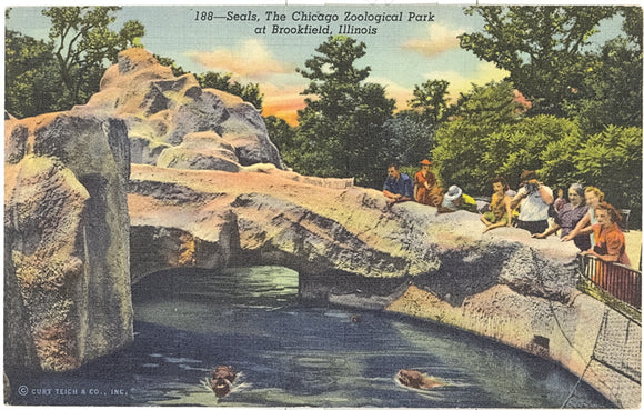 Seals, The Chicago Zoological Park at Brookfield, IL - Carey's Emporium