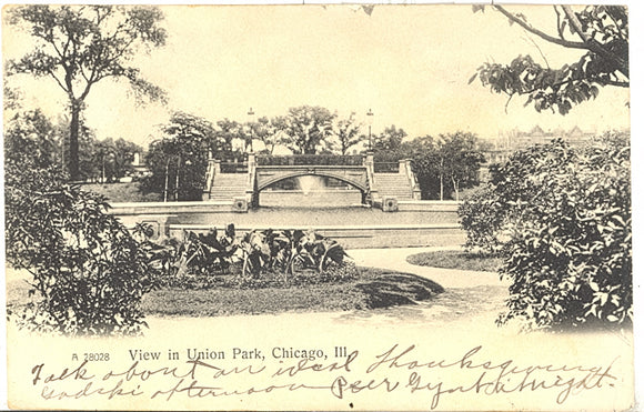 View in Union Park, Chicago, IL - Carey's Emporium