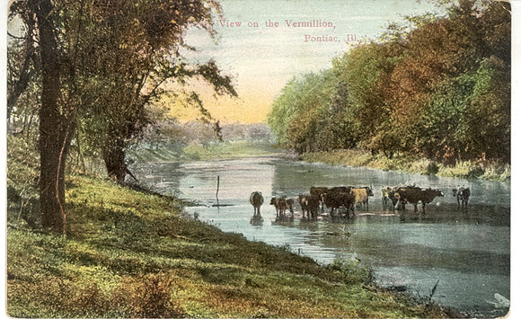 View on the Vermillion, Pontiac, IL - Carey's Emporium