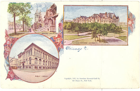 Multi-View, Chicago, IL - Carey's Emporium