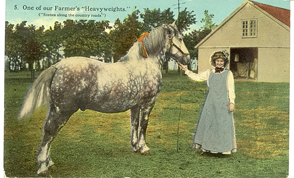 One of our Farmer's Heavyweights, Janesville, WI - Carey's Emporium