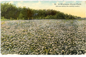 Wisconsin Clover Field, Columbus, WI - Carey's Emporium