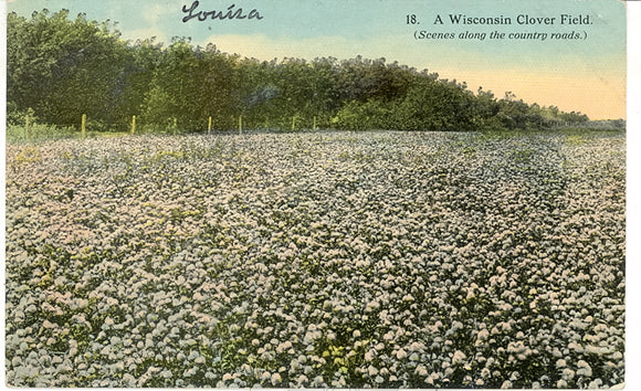 A Wisconsin Clover Field, Sun Prairie, WI - Carey's Emporium
