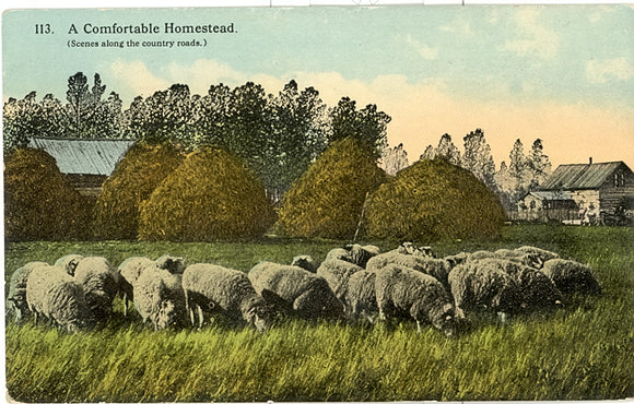 A Comfortable Homestead - Carey's Emporium